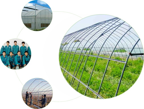 博瀚農(nóng)業(yè) 博瀚農(nóng)業(yè)